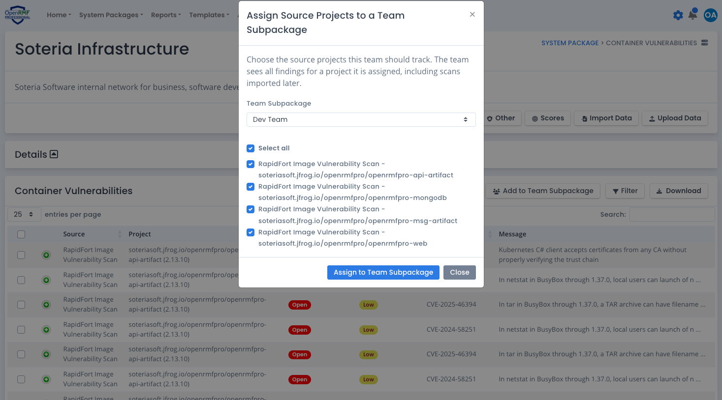 Add an Other Technology Project to a Team Subpackage